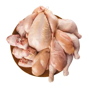 HORECA Chicken